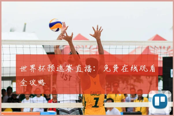 世界杯预选赛直播：免费在线观看全攻略