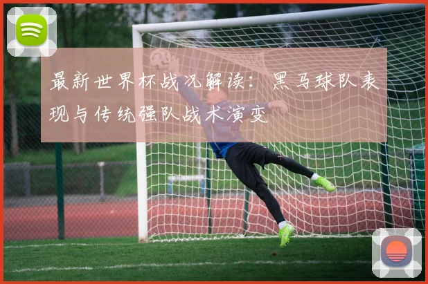 最新世界杯战况解读：黑马球队表现与传统强队战术演变