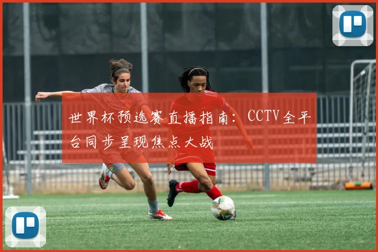 世界杯预选赛直播指南：CCTV全平台同步呈现焦点大战