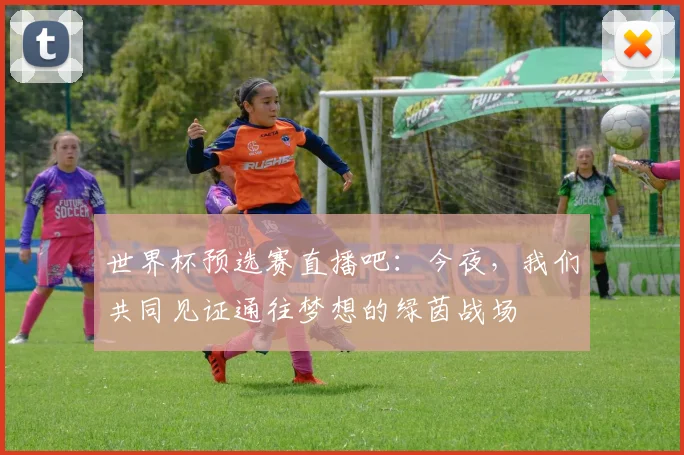 世界杯预选赛直播吧：今夜，我们共同见证通往梦想的绿茵战场