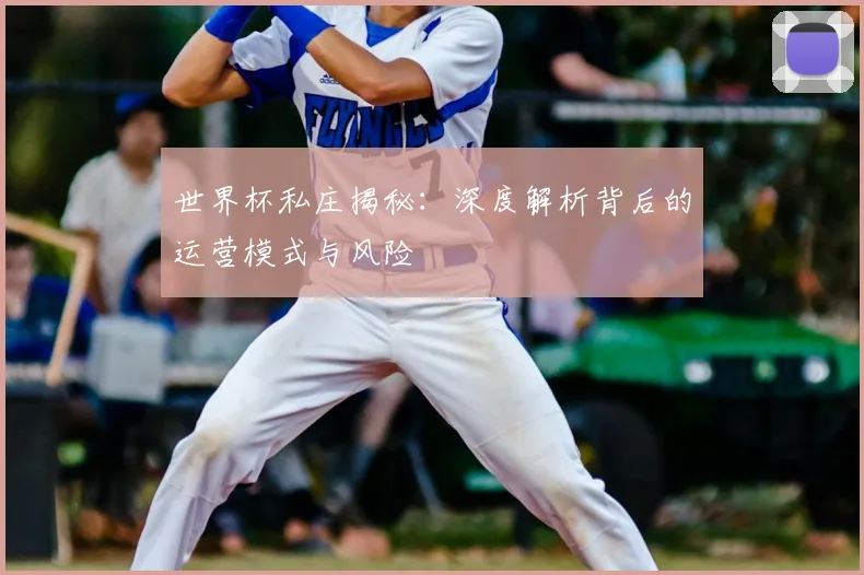 世界杯私庄揭秘:深度解析背后的运营模式与风险