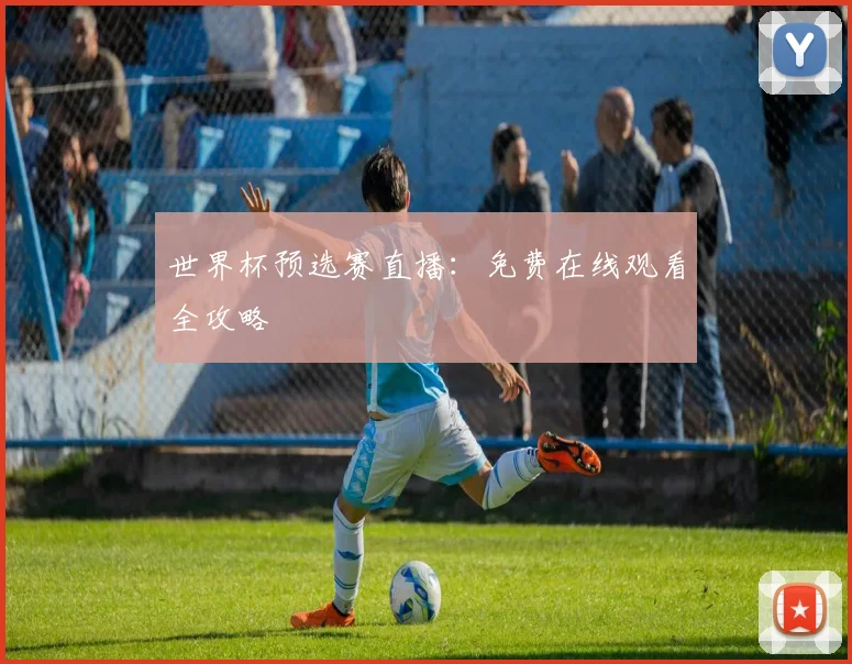 世界杯预选赛直播：免费在线观看全攻略