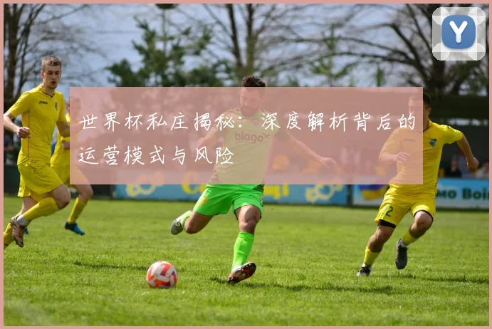 世界杯私庄揭秘：深度解析背后的运营模式与风险