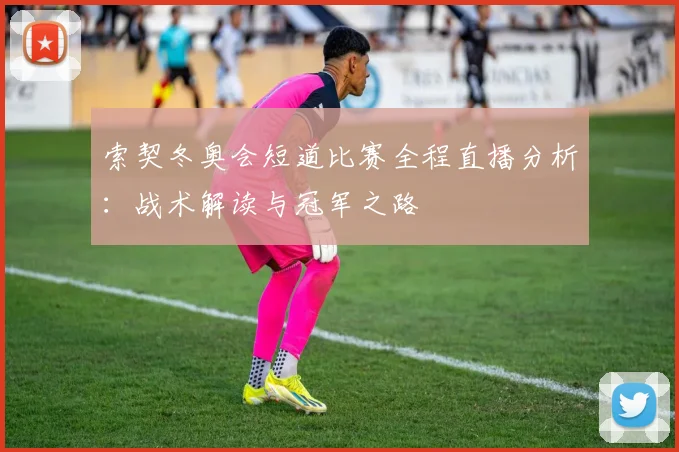 索契冬奥会短道比赛全程直播分析：战术解读与冠军之路